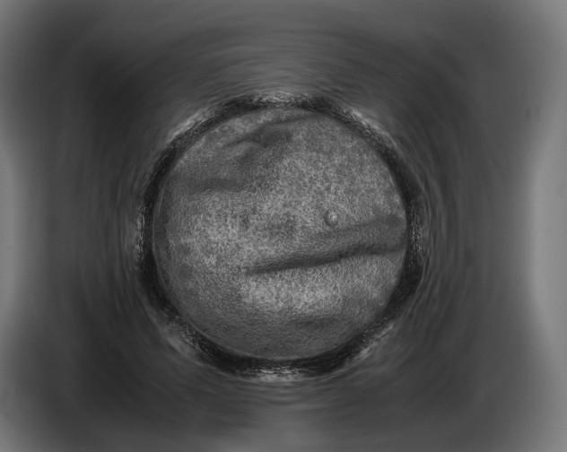 X0000086760591200705041450