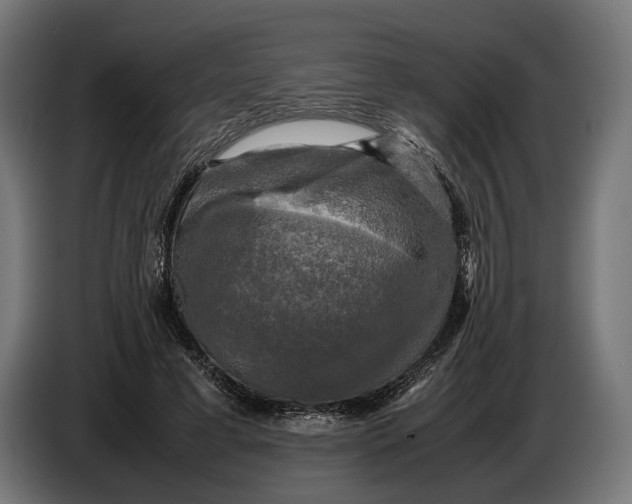 X0000086760593200705041450