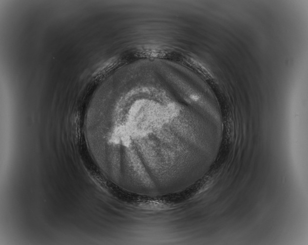 X0000086760594200705041450