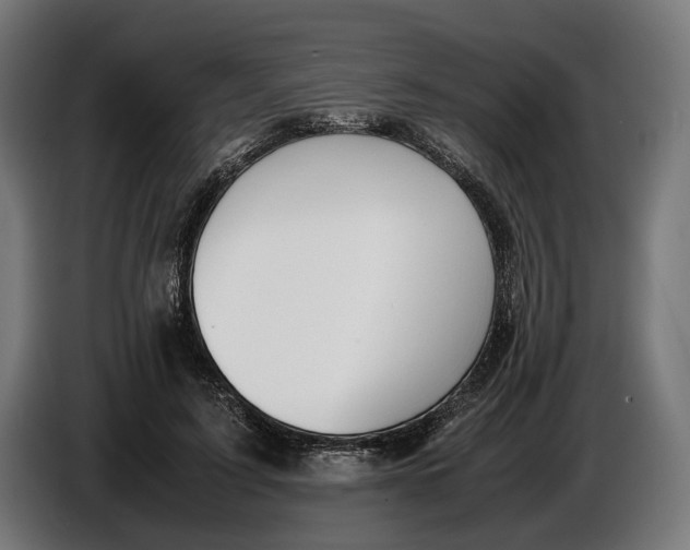 X0000086760595200705041450