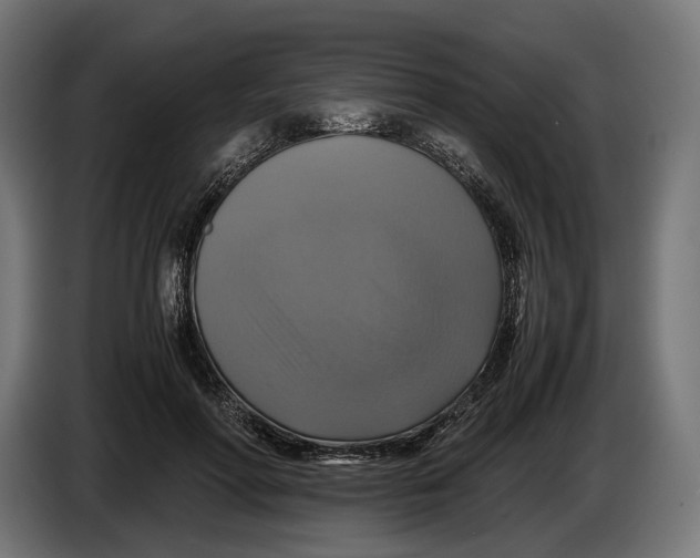 X0000086760598200705041449