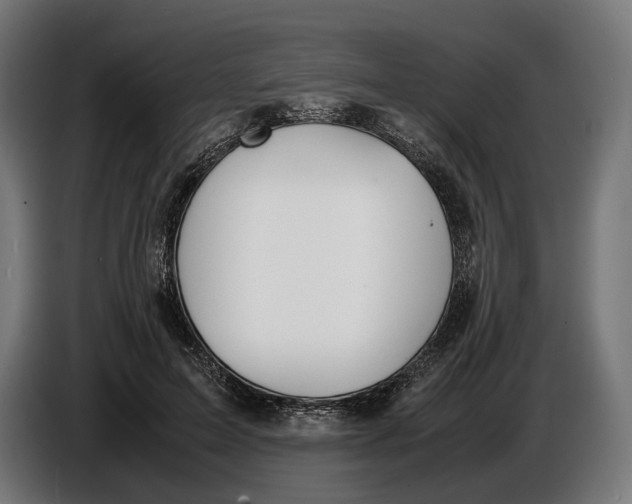 X0000086760599200705041449