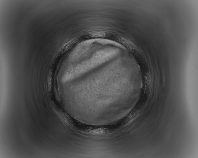 X0000086760600200705041449