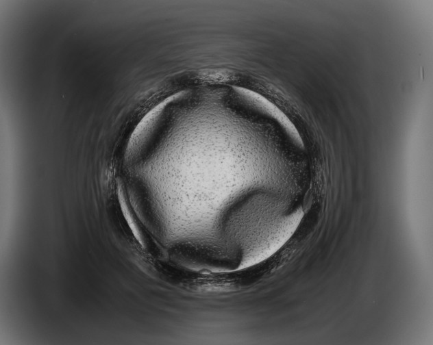 X0000086760601200705041449