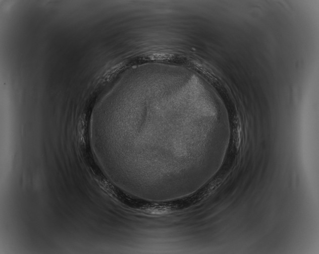 X0000086760604200705041449