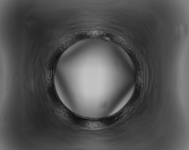 X0000086760605200705041449