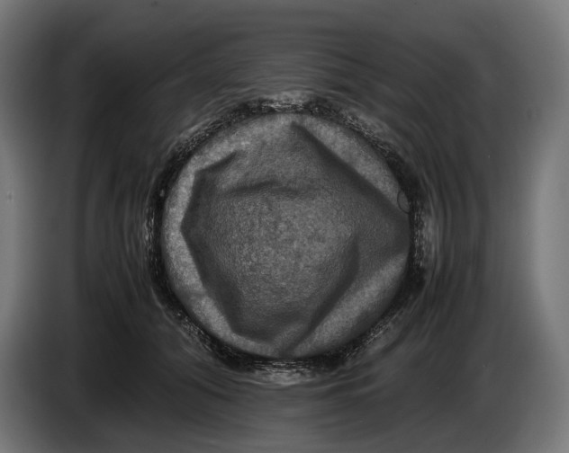 X0000086760608200705041449