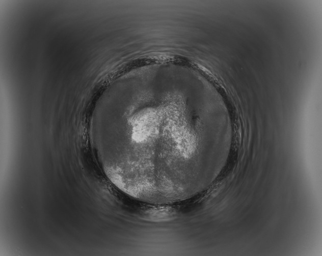 X0000086760609200705041449