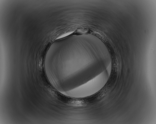 X0000086760610200705041449