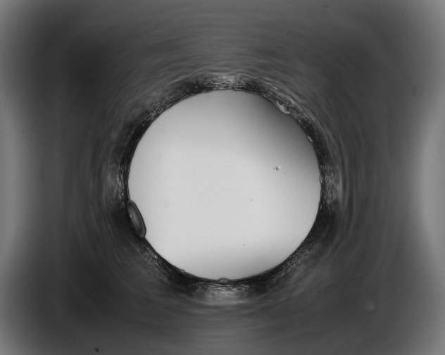 X0000086760613200705041449