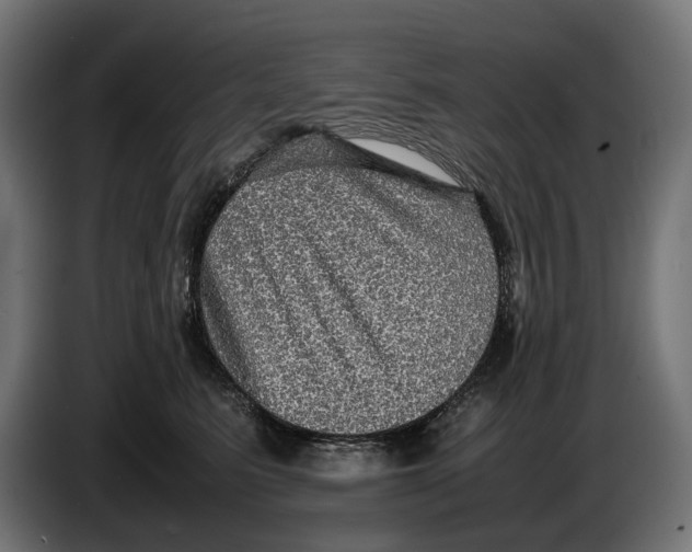 X0000086760615200705041449