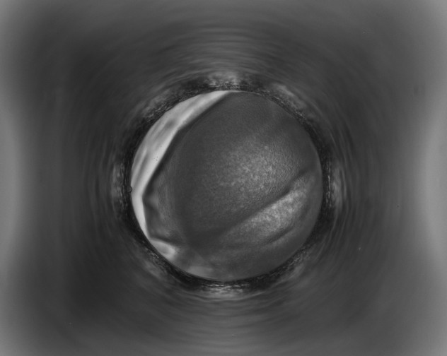 X0000086760616200705041449