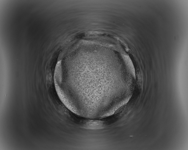 X0000086760617200705041449