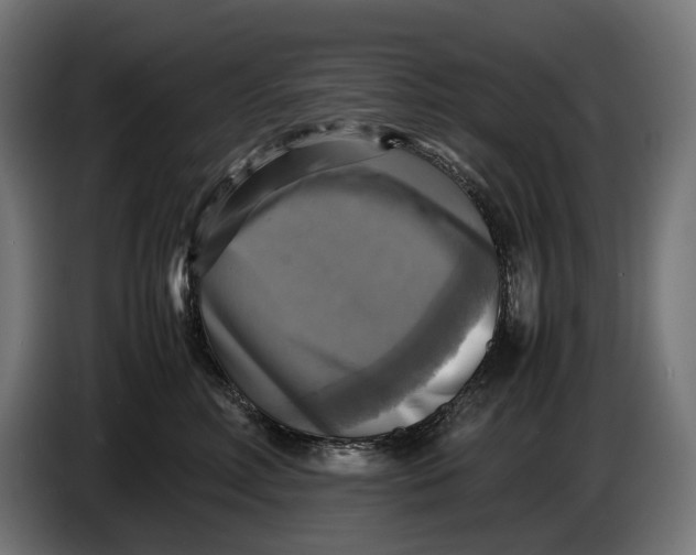 X0000086760618200705041449