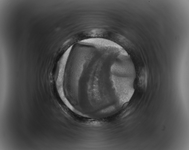 X0000086760620200705041449