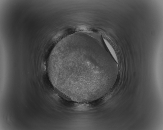 X0000086760621200705041449