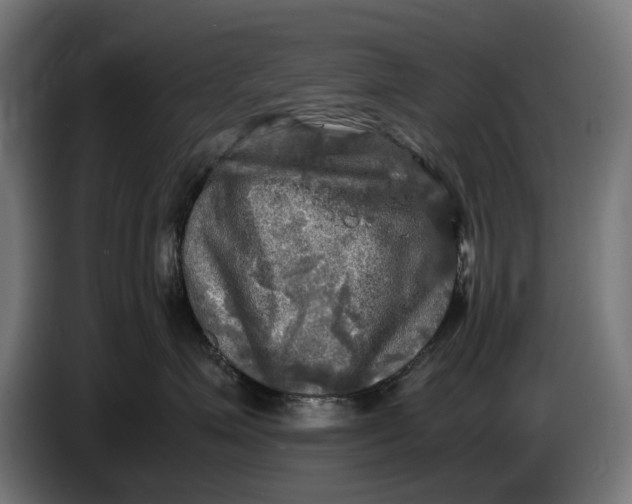 X0000086760623200705041449