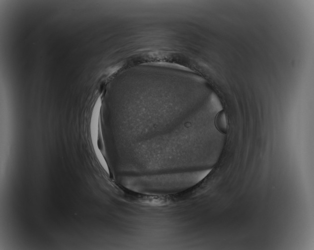 X0000086760624200705041449