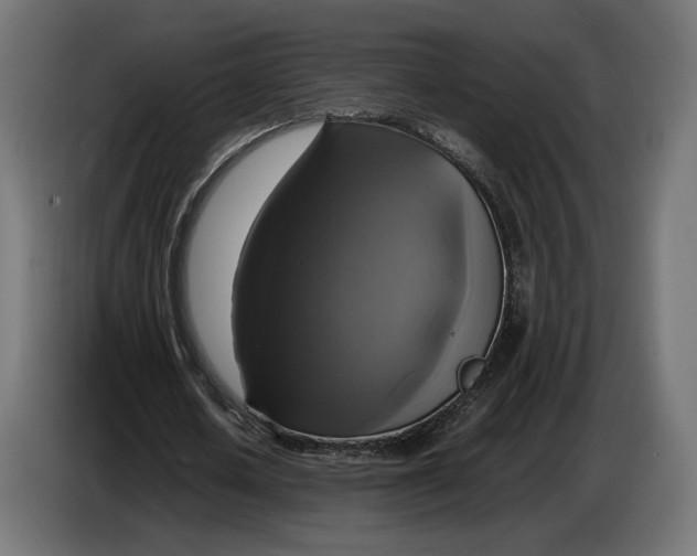 X0000086760626200705041449