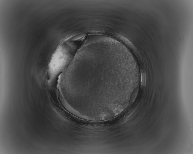 X0000086760627200705041449