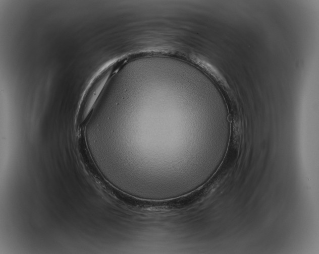 X0000086760628200705041449