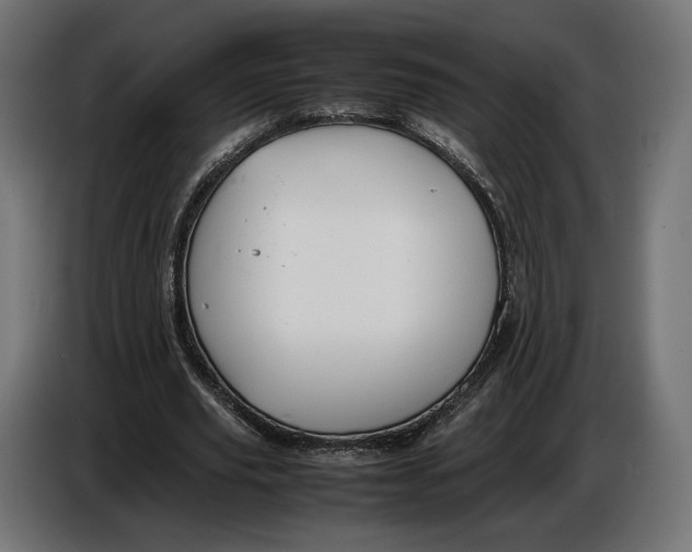 X0000086760629200705041449