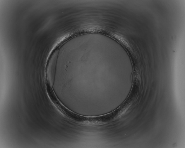 X0000086760630200705041449