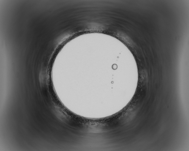 X0000086760632200705041449