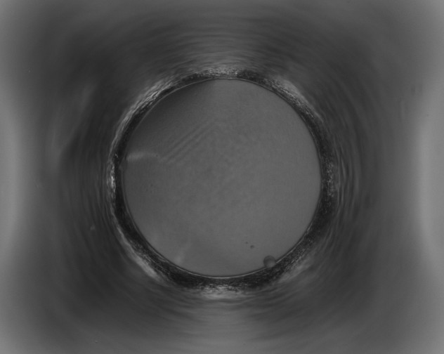 X0000086760634200705041449