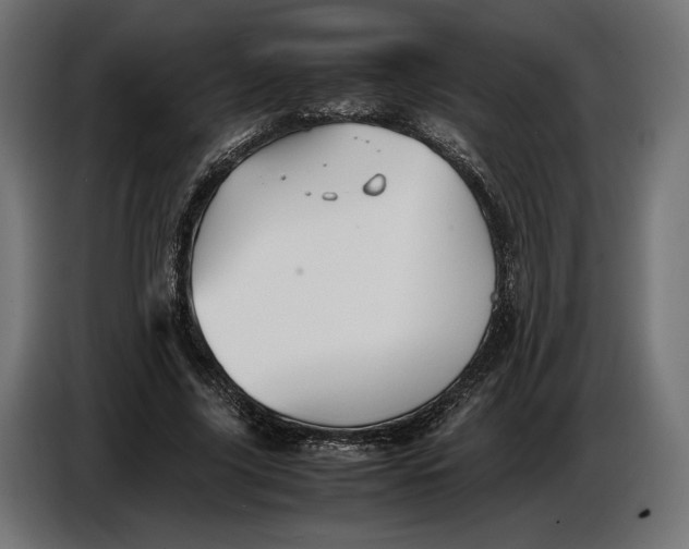 X0000086760635200705041449