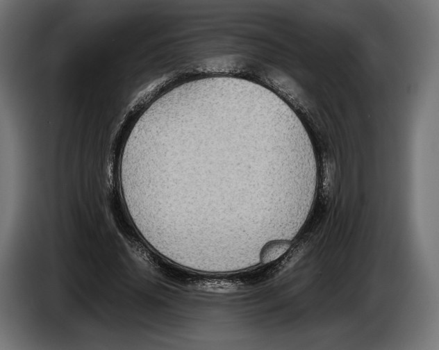 X0000086760636200705041449