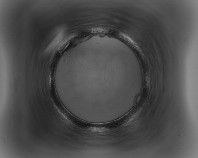 X0000086760637200705041449