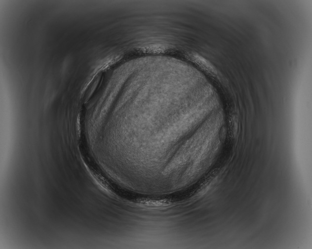 X0000086760638200705041449