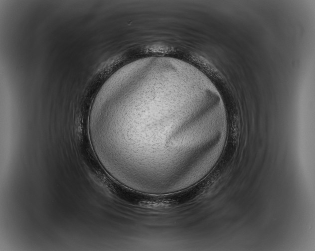 X0000086760639200705041449