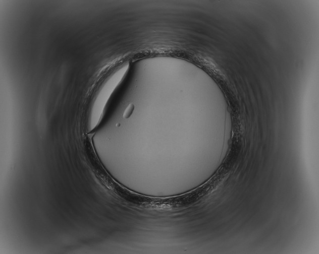 X0000086760640200705041449