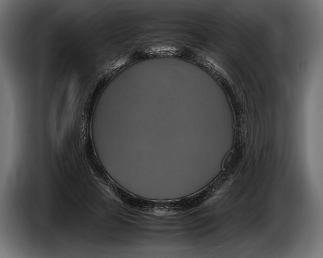 X0000086760641200705041449