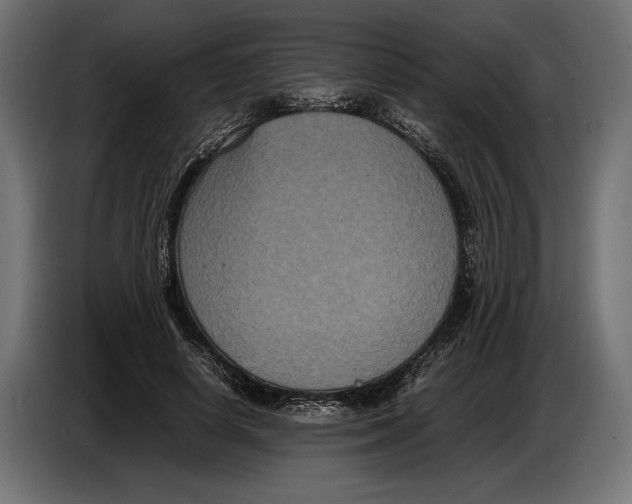 X0000086760642200705041449