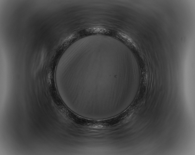 X0000086760643200705041449