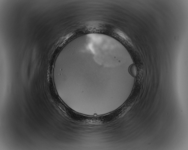 X0000086760644200705041449