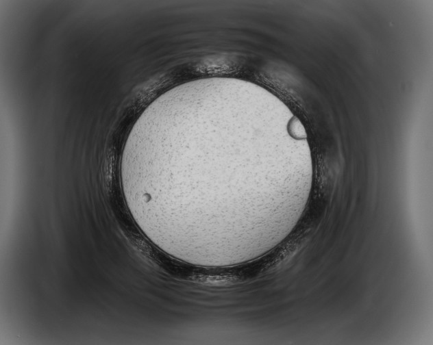 X0000086760645200705041449