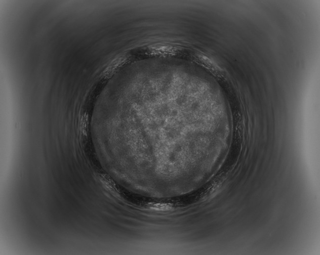 X0000086760649200705041449