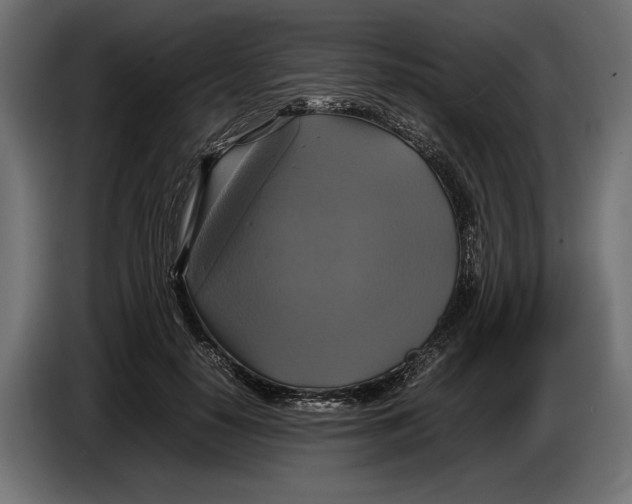 X0000086760650200705041449