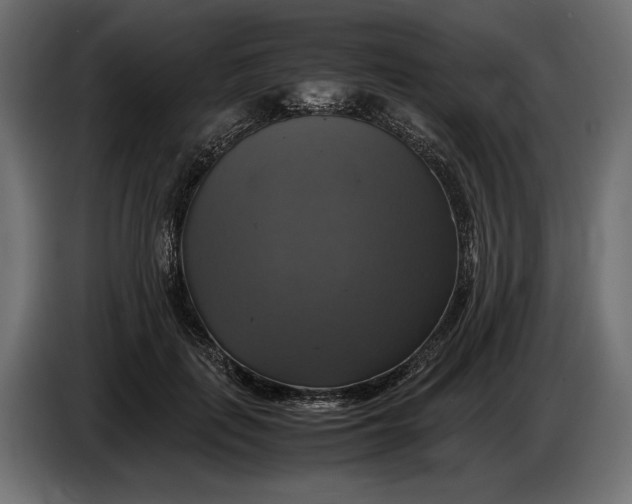 X0000086760651200705041449