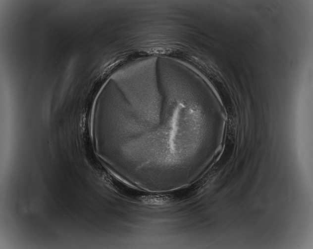 X0000086760652200705041449