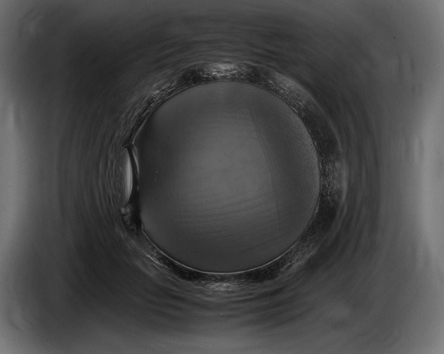 X0000086760653200705041449