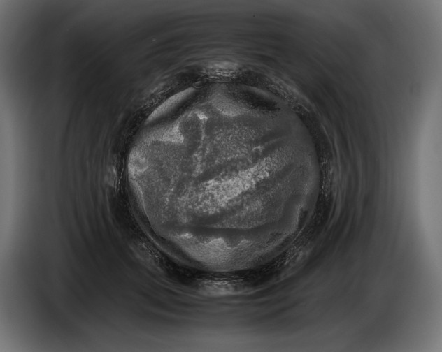 X0000086760655200705041449