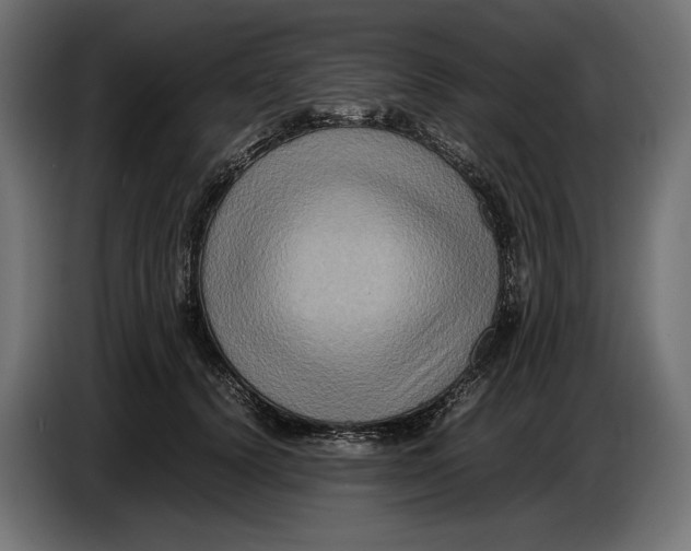 X0000086760656200705041449