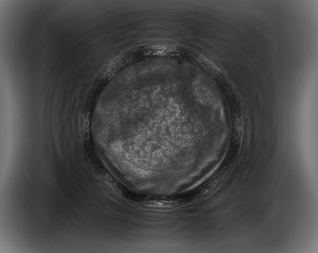 X0000086760657200705041449