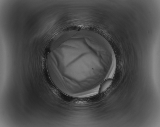 X0000086760658200705041449