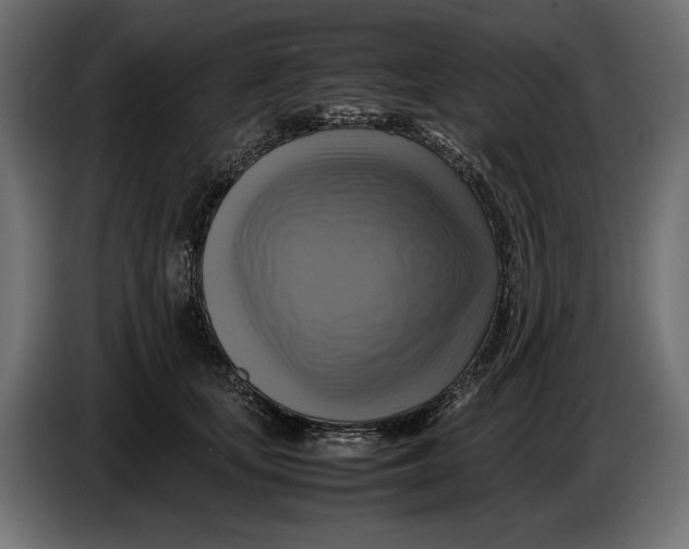 X0000086760659200705041449